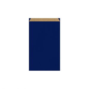 Pochette cadeau bleue (16x8x27cm) / Par 250