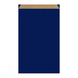 Pochette cadeau bleue (27x7x45cm) / Par 250